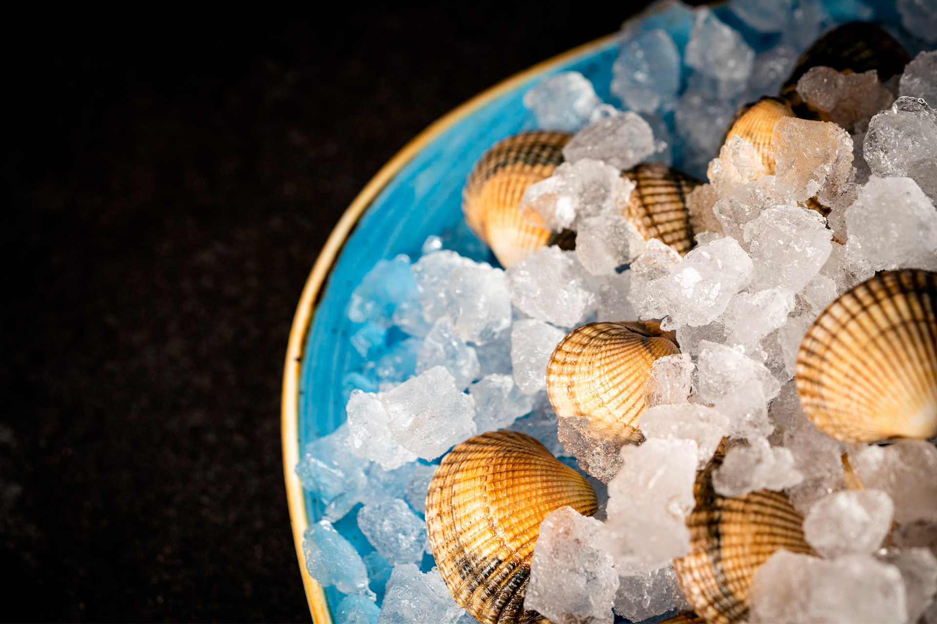 Almejas-En-Hielo-En-Pepitas